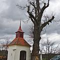 Kaplička v Hájku se starou lípou