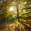 Autumn atmosphere 