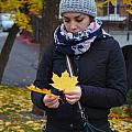 and yellow maple leaves everywhere
