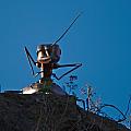 Large ant attacking from above