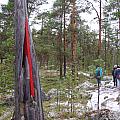 Turist markings in Lapland