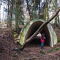 Old bridge in the woods