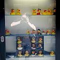 ducks in some hidden showcase