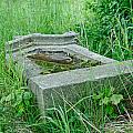 abandoned cemetery