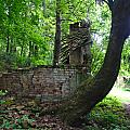 ruin in the woods