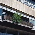 stadium Strahov and its misserable state