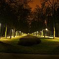 Enlighted alley in the park