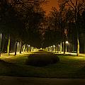 Enlighted alley in the park