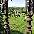 Jewish cemetery