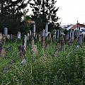 Židovský hřbitov v Rousínově trochu přerostl