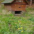 Studánka v Hrdle