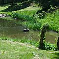 Spodní rybník s vodníkem