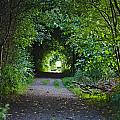 Lesní tunel u Ostopovic