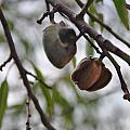 Even almond trees were around the paths