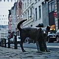 Statue of pissing dog
